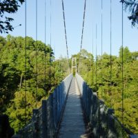 園内の吊り橋