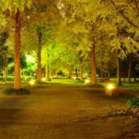 月光と照明で照らされた園路