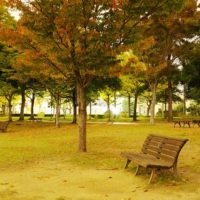 月光の中のベンチ