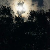 樹々の間から見る雲間の月