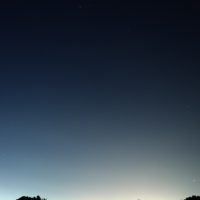 公園から見る星空