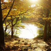 夕日と紅葉と池