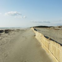 砂丘の防砂柵