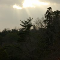 雲の中から漏れる陽の光