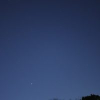 公園から見た冬の星空