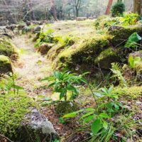 春の暖かさと緑が多くなった園内