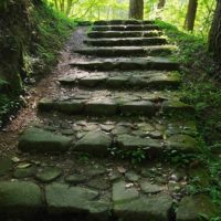 6月の緑が茂る園路