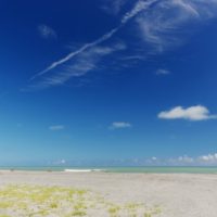 夏の青空の下の駒場海岸