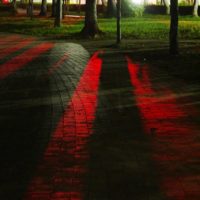 赤信号に照らされた夜間の地域公園の舗道