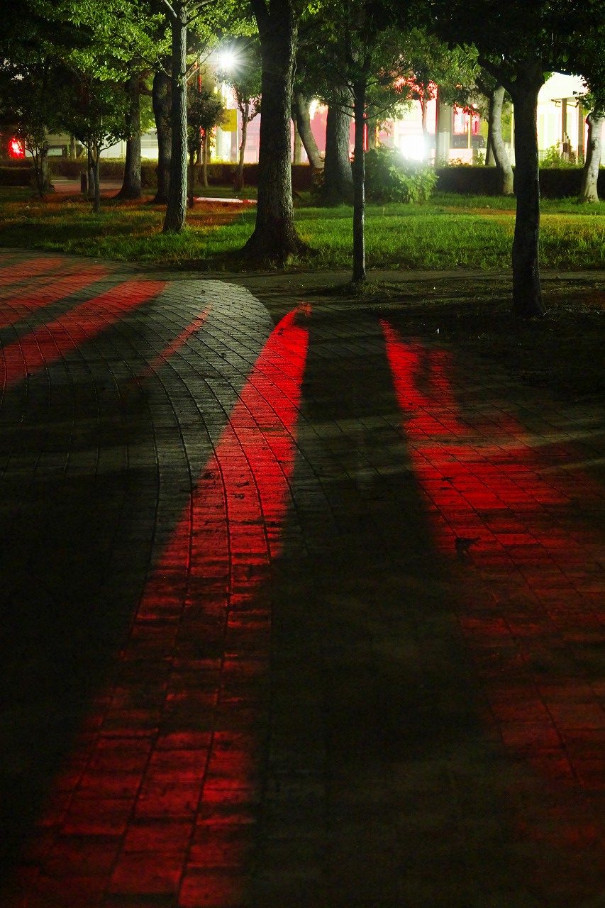 赤信号に照らされた夜間の地域公園の舗道